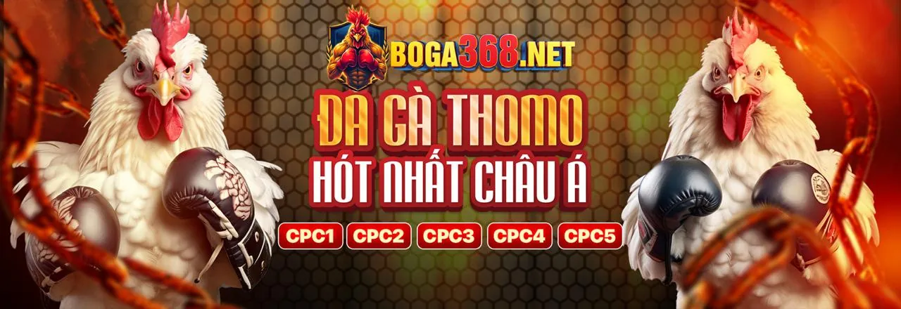 Khuyến mãi đá gà win88 apk